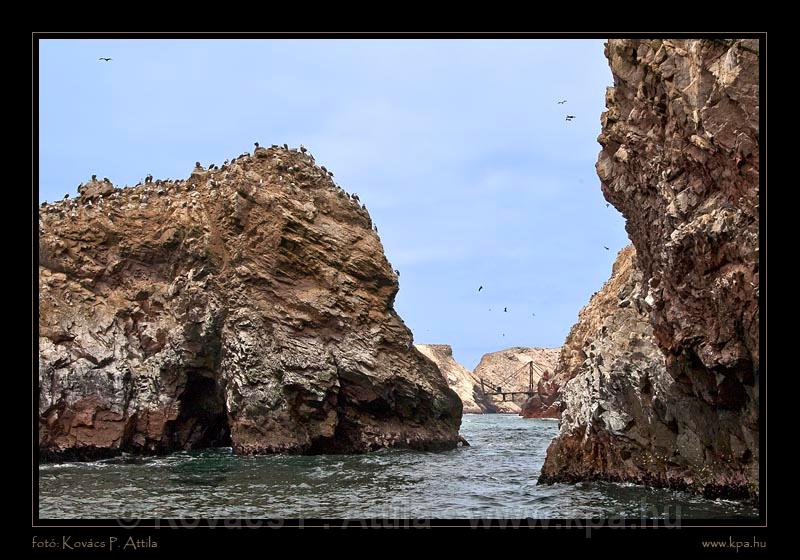 Ballestas Islands 011.jpg